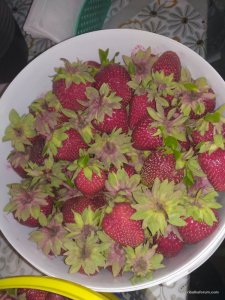 IMG_20170612_214643.jpg