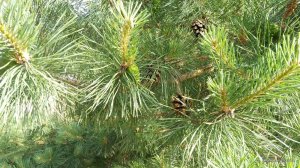 IMG_20170612_173434.jpg