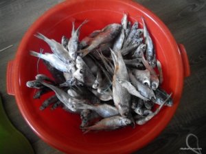 IMG_20170614_193056.jpg