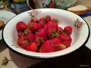 IMG_20170611_134925.jpg