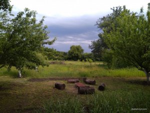 IMG_20170613_164122.jpg