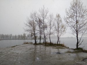 IMG_20170421_165654.jpg