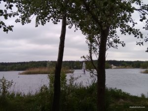 IMG_20170514_172902.jpg