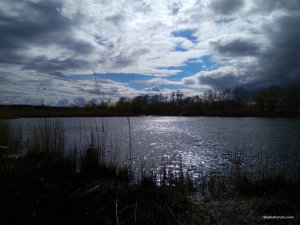 IMG_20170415_153021.jpg
