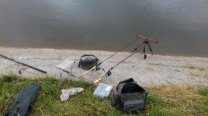20170615_072313.jpg