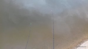 20170615_100250.jpg