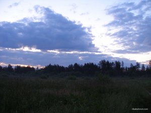 P1010051.JPG
