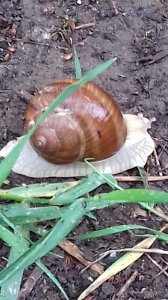 20170613_085212.jpg