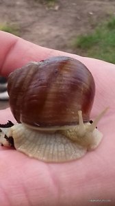 20170613_085427.jpg
