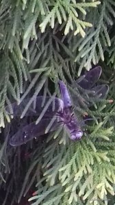 20170613_195412.jpg