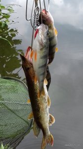 20170617_132809.jpg