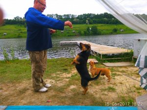 IMG_20170615_182202.jpg