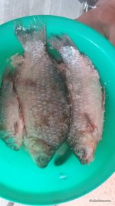 20170618_120022.jpg