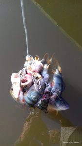 20170618_065655.jpg