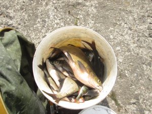 IMG_1771.jpg