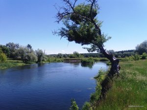 20170618_103225.jpg