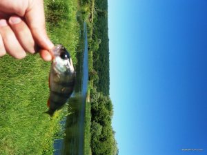 20170618_100817.jpg