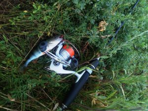 20170618_054449.jpg