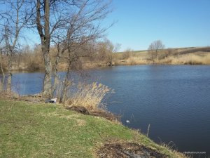 20170329_133221.jpg