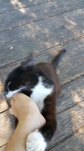 20170619_091619.jpg