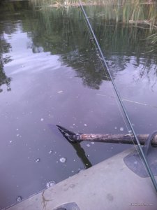 IMG_20170615_144925.jpg