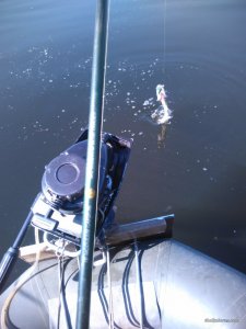 IMG_20170617_083840.jpg