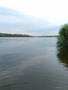 P70621-174814.jpg