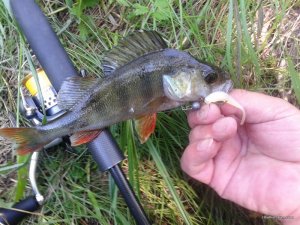 20170622_091114.jpg