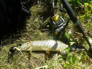 20170622_093235.jpg