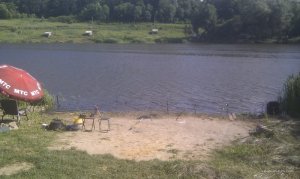 IMAG0087.jpg