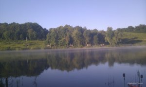IMAG0091.jpg