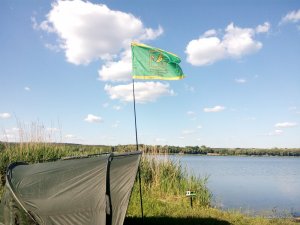 IMG_20170529_164713.jpg