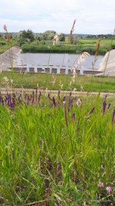 20170623_124329.jpg