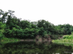 IMG_2353.JPG