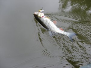 IMG_2360.JPG