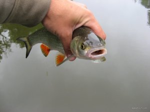 IMG_2361.JPG