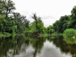 IMG_2364.JPG