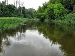 IMG_2365.JPG