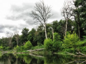 IMG_2370.JPG