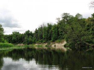 IMG_2371.JPG
