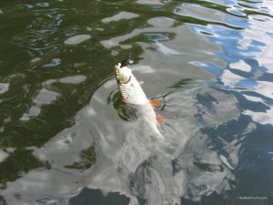 IMG_2378.JPG
