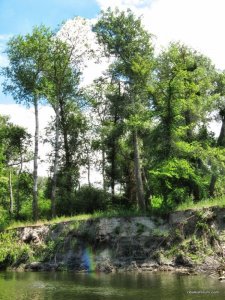 IMG_2385.JPG