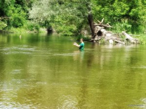 IMG_2390.JPG