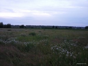 20170623_204354.jpg