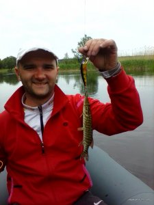 IMG_20170521_124003.jpg