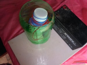 IMG_20170628_125111.jpg