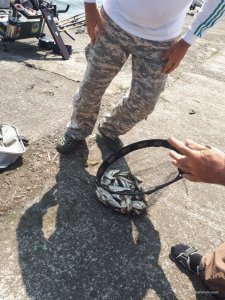20170628_102846.jpg