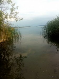 2017-06-28 10.08.32.jpg