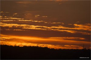 _MG_8221.jpg
