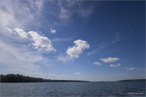 _MG_8276.jpg